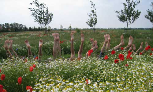 Het Blotevoetenpad