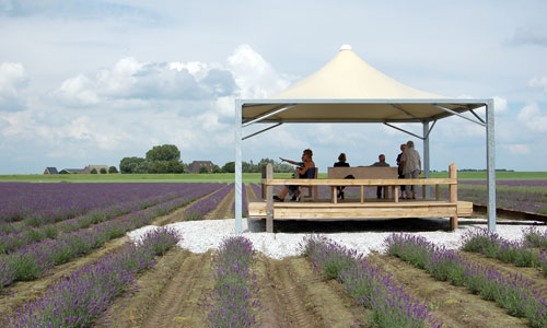 Lavendel Bezoekerscentrum Viva Lavandula